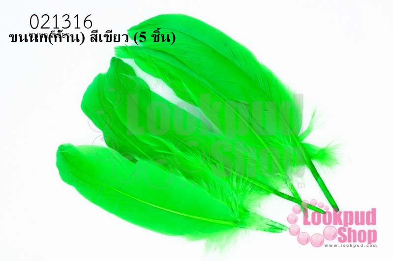 ขนนก(ก้าน) สีเขียว (5 ชิ้น)