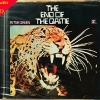 CD Peter Green - The end of the Game