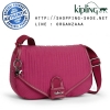 Kipling Paxton - Craft Berry (Belgium)