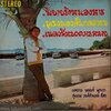 LP สุเทพ วงศ์กำแหง - บุเรงนองลั่นกลองรบ ปก VG++/ แผ่น VG++