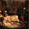 Polycat - Pillow War 1Lp New