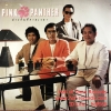 CD วงพิ้งแพนเตอร์ - ต่างกันที่กาลเวลา 1 ปกVG+ แผ่น VG +