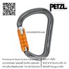 ห่วงเซฟตี้ ตะขอนิรภัย ตะขอเซฟตี้ Petzl William Triact Lock carabiner M36A TL