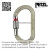 ห่วงเซฟตี้ ตะขอนิรภัย ตะขอเซฟตี้ Petzl OXAN High-strength oval carabiner M72A SL