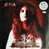 Sodom - official bootleg the witchhunter decade * New