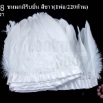 ขนนกมีริบบิ้น สีขาว ยาว 2 หลา (1ห่อ/220ก้าน)