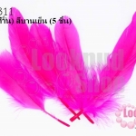 ขนนก(ก้าน) สีบานเย็น (5 ชิ้น)