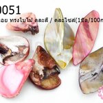 เปลือกหอย ทรงใบไม้ คละสี / คละไซส์(1ขีด/100กรัม)