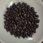 ลูกปัดแก้ว ทรงหยดน้ำ สีแดงเข้ม 8x13 มิล (1ขีด/100กรัม)