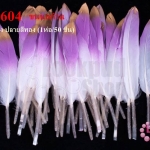 ขนนกก้าน สีขาว-ม่วง ปลายสีทอง (1ห่อ/50 ชิ้น)