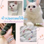 เขาว่าแมวจะรับรู้ความรู้สึกนุดได้ จริงมั้ย?🐾💗