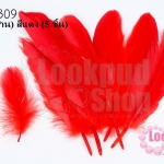 ขนนก(ก้าน) สีแดง (5 ชิ้น)