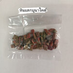 หินแตกยูนาไคต์ (1ถุง/10 กรัม)