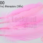 ขนนก(ก้าน) สีชมพูอ่อน (5ชิ้น)