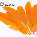 ขนนก(ก้าน) สีส้ม (5 ชิ้น)