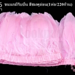 ขนนกมีริบบิ้น สีชมพูอ่อน ยาว 2 หลา (1ห่อ/220ก้าน)
