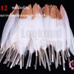 ขนนกก้าน สีขาว ปลายกากเพชรสีทองแดง (1ห่อ/50 ชิ้น)