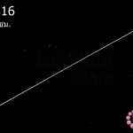 เข็มร้อยลูกปัด สั้น 23ซม.(1ชิ้น)