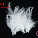 ขนนกก้าน สีขาว (20ชิ้น)