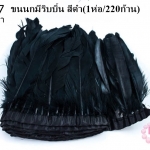 ขนนกมีริบบิ้น สีดำ ยาว 2 หลา (1ห่อ/220ก้าน)