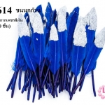 ขนนกก้าน สีน้ำเงิน ปลายกากเพชรสีเงิน (1ห่อ/50 ชิ้น)