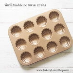 พิมพ์เมเดอลีนแบบ 12 ชิ้น