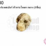 หินพิกเจอร์แจสเปอร์ หัวกระโหลก กลาง (1ชิ้น)