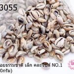 เปลือกหอยธรรมชาติ เล็ก คละไซส์ NO.1 (1ถุง/450กรัม)