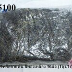 ตะปูเลข9หรืออายพิน สีทองเหลือง 30มิล (1ถุง/1กิโล)