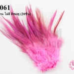ขนนกก้าน ไล่สี สีชมพู (20ชิ้น)