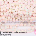 ปอมเส้นยาว รวมสีพาลเทลอ่อน กว้าง 2ซม(1พับ/18หลา)
