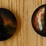 ตาสัตว์กลม ตาแมวน้ำตาล ชิ้นละ 10 บาท เท่านั้น!!!! #มีเก็บปลายทาง