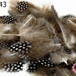 ขนนก(ก้าน) สีน้ำตาลธรรมชาติ (20 ชิ้น)