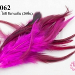 ขนนกก้าน ไล่สี สีบานเย็น (20ชิ้น)