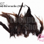 ขนนก(ก้าน) สีน้ำตาลเข้ม (20ชิ้น)