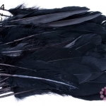 ขนนก(ก้าน) สีดำ 100ชิ้น