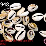 เปลือกหอยธรรมชาติ เล็ก คละไซส์ สีดำ(1ขีด/100กรัม)