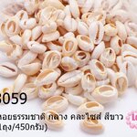 เปลือกหอยธรรมชาติ กลาง คละไซส์ สีขาว NO.2 (1ถุง/450กรัม)