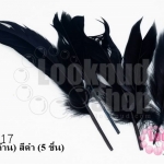 ขนนก(ก้าน) สีดำ (5 ชิ้น)