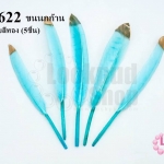 ขนนกก้าน สีฟ้า ปลายสีทอง (5ชิ้น)