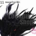 ขนนก(ก้าน) สีดำ (20 ชิ้น)