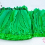 ขนนกมีริบบิ้น สีเขียว ยาว 2 หลา (1ห่อ/220ก้าน)