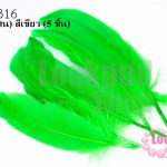 ขนนก(ก้าน) สีเขียว (5 ชิ้น)