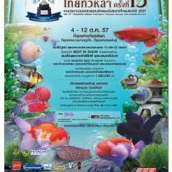 ผลประกวดปลากัด งานประมงน้อมใจไทยทั่วหล้า ครั้งที่13