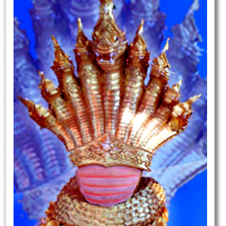 กำยาน ดอทคอม