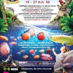 วันปลาสวยงามแห่งชาติ ประจำปี 2556 วันที่ 19 - 27 ตุลาคม 2556