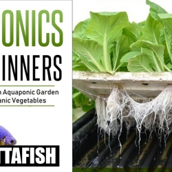 Aquaponics Plans อควาโปนิกส์ ออแกนิค ฟาร์ม การปลูกพืชโดยควบคู่กับการเลี้ยงปลา โดยการพึ่งพาอาศัยกันระหว่างพืชกับตัวปลาเอง พืชจะใช้น้ำเสียจากปลามาเป็นสารอาหาร