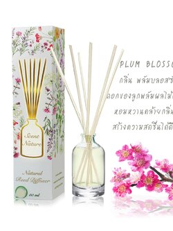 Scentnature ก้านไม้หอมอโรม่าปรับอากาศScentnature กลิ่น Plum Blossom
