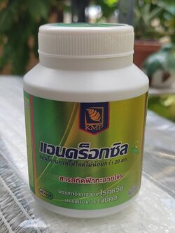 KMP KMPแคปซูลแอนดร็อกซิล 45 แคปซูล