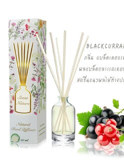 Scentnature ก้านไม้หอมอโรม่าปรับอากาศScentnature กลิ่น Blackcurrant